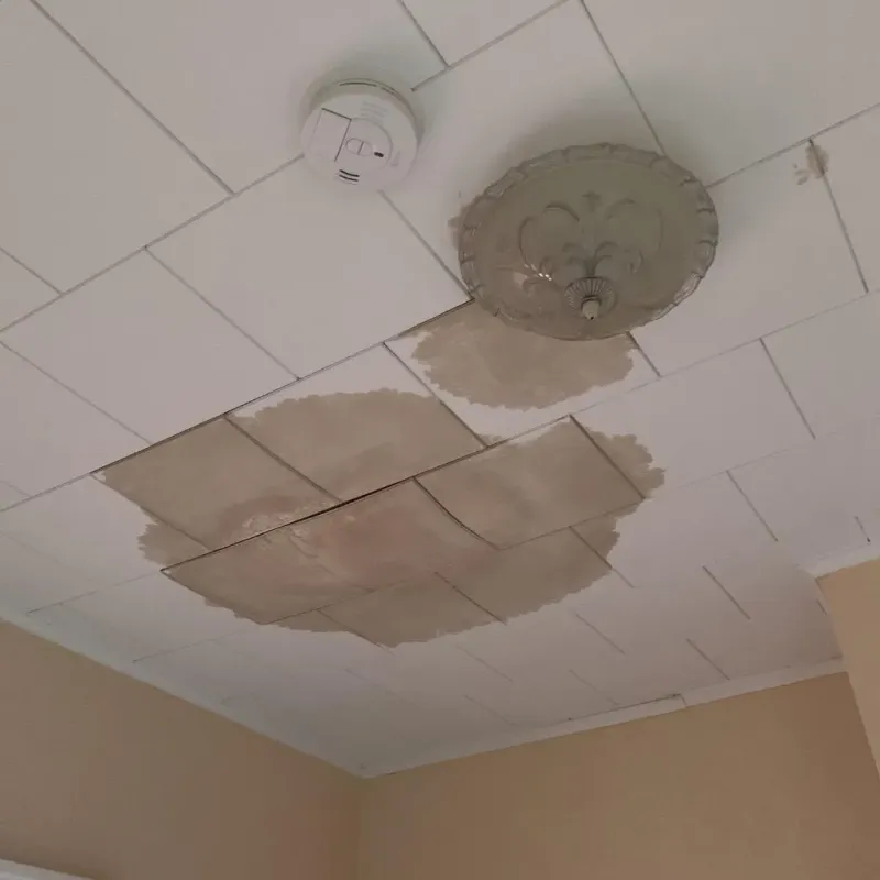 Ceiling Water Damage Repair in Red Lake, MN