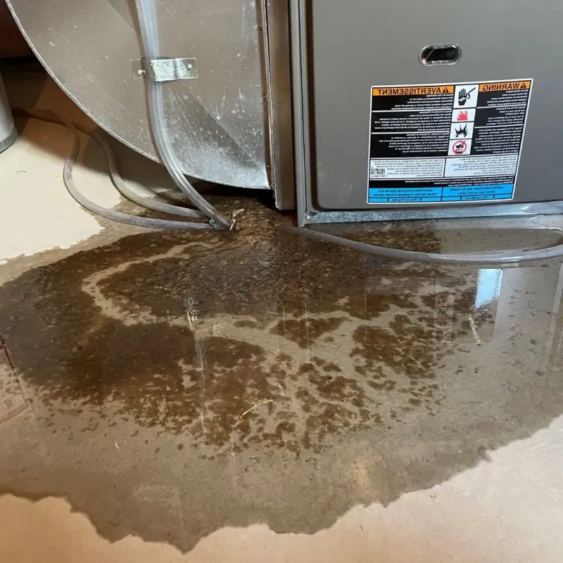 Pipe Burst and Leak Restoration in Red Lake, MN